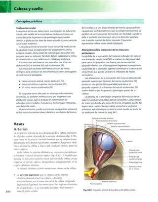 Anatomia de gray_08