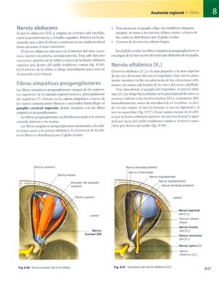 Anatomia de gray_08