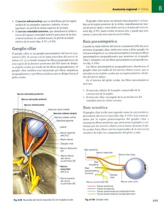 Anatomia de gray_08
