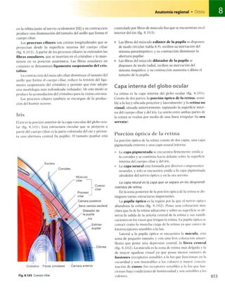Anatomia de gray_08