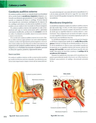 Anatomia de gray_08
