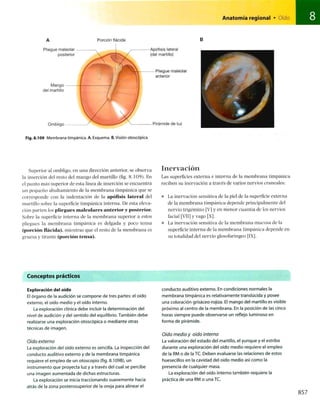 Anatomia de gray_08