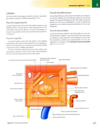 Anatomia de gray_08