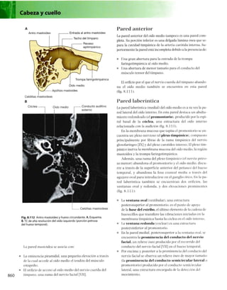 Anatomia de gray_08