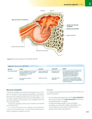 Anatomia de gray_08