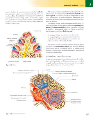 Anatomia de gray_08