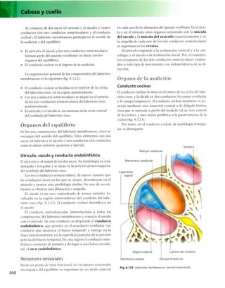 Anatomia de gray_08