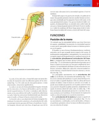 Anatomia de gray_08