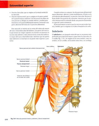 Anatomia de gray_08
