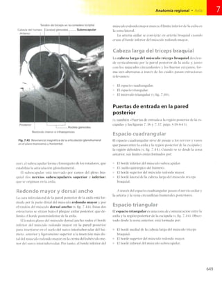 Anatomia de gray_08