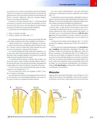 Anatomia de gray_08