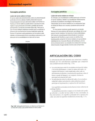 Anatomia de gray_08