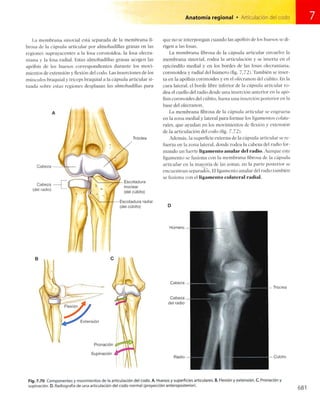 Anatomia de gray_08