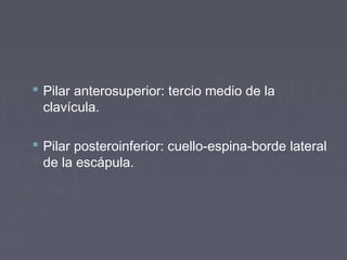  Pilar anterosuperior: tercio medio de la 
clavícula. 
 Pilar posteroinferior: cuello-espina-borde lateral 
de la escápula. 
 