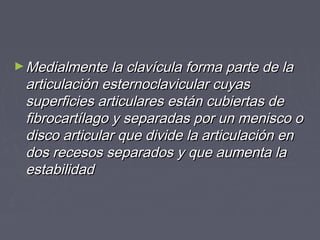 ►MMeeddiiaallmmeennttee llaa ccllaavvííccuullaa ffoorrmmaa ppaarrttee ddee llaa 
aarrttiiccuullaacciióónn eesstteerrnnooccllaavviiccuullaarr ccuuyyaass 
ssuuppeerrffiicciieess aarrttiiccuullaarreess eessttáánn ccuubbiieerrttaass ddee 
ffiibbrrooccaarrttííllaaggoo yy sseeppaarraaddaass ppoorr uunn mmeenniissccoo oo 
ddiissccoo aarrttiiccuullaarr qquuee ddiivviiddee llaa aarrttiiccuullaacciióónn eenn 
ddooss rreecceessooss sseeppaarraaddooss yy qquuee aauummeennttaa llaa 
eessttaabbiilliiddaadd 
 
