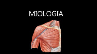 MIOLOGIA
 
