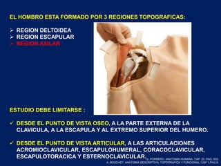EL HOMBRO ESTA FORMADO POR 3 REGIONES TOPOGRAFICAS:
 REGION DELTOIDEA
 REGION ESCAPULAR
 REGION AXILAR
ESTUDIO DEBE LIMITARSE :
 DESDE EL PUNTO DE VISTA OSEO, A LA PARTE EXTERNA DE LA
CLAVICULA, A LA ESCAPULA Y AL EXTREMO SUPERIOR DEL HUMERO.
 DESDE EL PUNTO DE VISTA ARTICULAR, A LAS ARTICULACIONES
ACROMIOCLAVICULAR, ESCAPULOHUMERAL, CORACOCLAVICULAR,
ESCAPULOTORACICA Y ESTERNOCLAVICULAR.G. PORRERO. ANATOMIA HUMANA. CAP. 22. PAG. 933.
A. BOUCHET. ANATOMIA DESCRIPTIVA, TOPOGRAFICA Y FUNCIONAL. CAP 1.PAG 9.
 