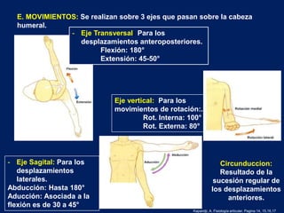 - Eje Sagital: Para los
desplazamientos
laterales.
Abducción: Hasta 180°
Aducción: Asociada a la
flexión es de 30 a 45°
E. MOVIMIENTOS: Se realizan sobre 3 ejes que pasan sobre la cabeza
humeral.
Eje vertical: Para los
movimientos de rotación:.
Rot. Interna: 100°
Rot. Externa: 80°
Circunduccion:
Resultado de la
sucesión regular de
los desplazamientos
anteriores.
- Eje Transversal: Para los
desplazamientos anteroposteriores.
Flexión: 180°
Extensión: 45-50°
Kapandji, A. Fisiología articular. Pagina 14, 15,16,17
 
