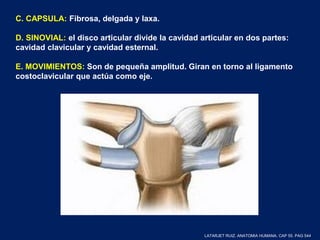 C. CAPSULA: Fibrosa, delgada y laxa.
D. SINOVIAL: el disco articular divide la cavidad articular en dos partes:
cavidad clavicular y cavidad esternal.
E. MOVIMIENTOS: Son de pequeña amplitud. Giran en torno al ligamento
costoclavicular que actúa como eje.
LATARJET RUIZ. ANATOMIA HUMANA. CAP 55. PAG 544
 