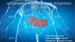 José Guillermo López
Gastroenterología Infantil
Hospital Dr. Alejandro Posadas
ANATOMIA E HISTOLOGIA DE INTESTINO
DELGADO
 
