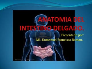 ANATOMIA DEL INTESTINO DELGADO. Presentado por: MI. Enmanuel Francisco Roman.. 
