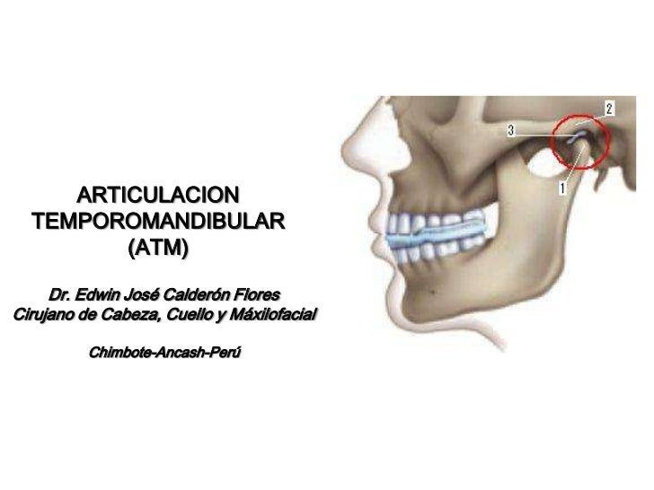 ANATOMIA DE LA ARTICULACION TEMPOROMANDIBULAR