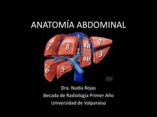 ANATOMÍA ABDOMINAL
Dra. Nadia Rojas
Becada de Radiología Primer Año
Universidad de Valparaíso
 