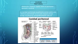 CAVIDAD
PERITONEAL
Definición: Espacio capilar entre el peritoneo
parietal y visceral
La cavidad peritoneal usualmente existe como una
“abertura peritoneal” es en este espacio el que
puede visualizarse sonográficamente sólo en
condiciones patológicas.
 