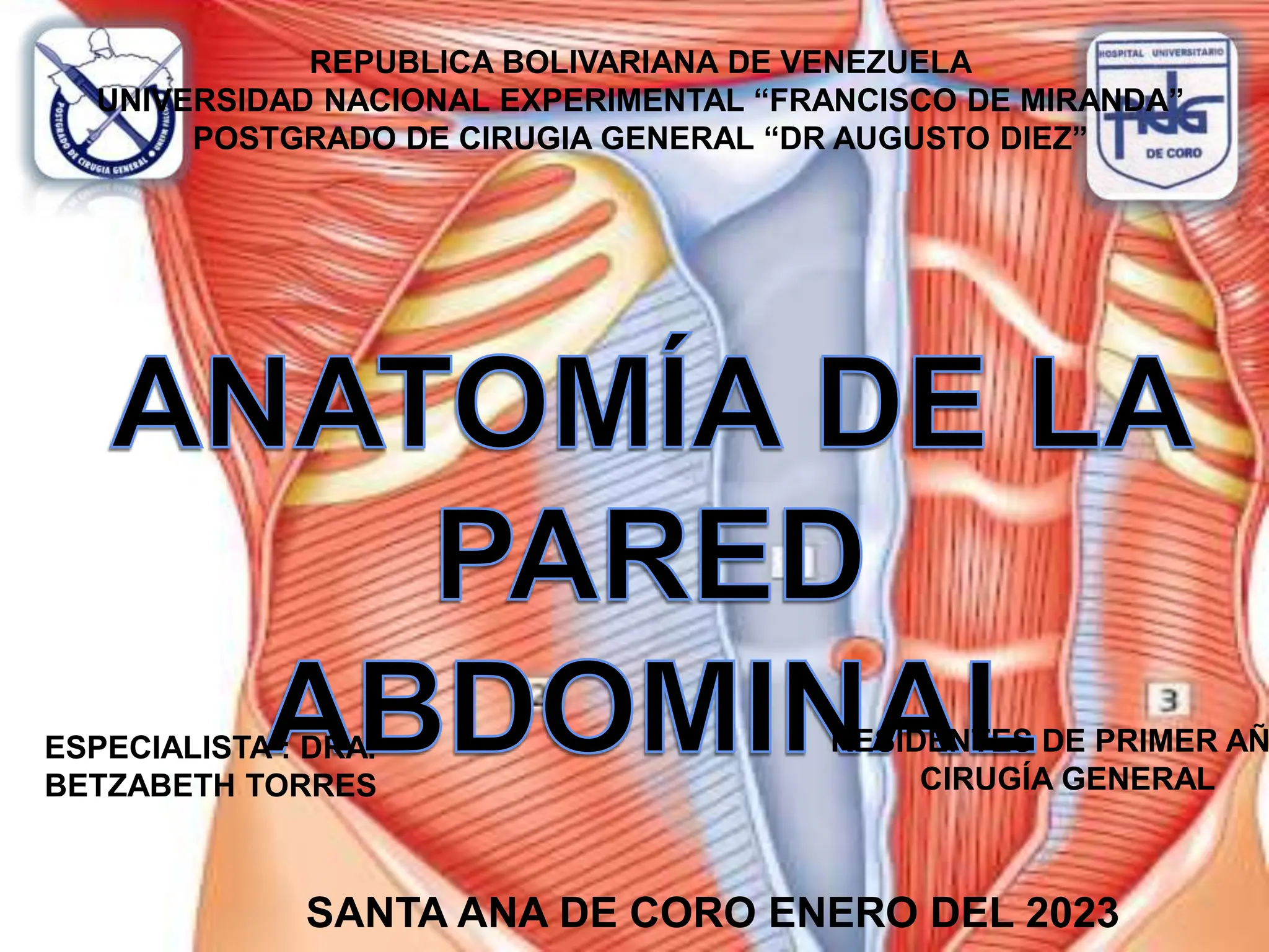 Anatomía Del Abdomen Ppt 2048x1536