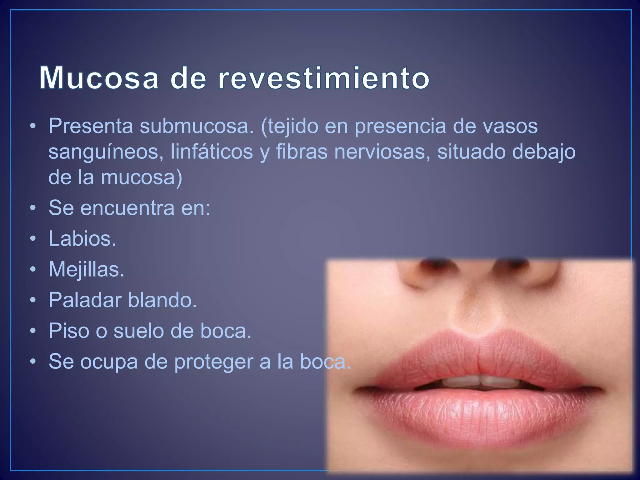 Anatomia de la boca | PPTX