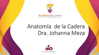 Anatomía de la Cadera
Dra. Johanna Meza
 