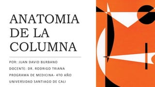 ANATOMIA
DE LA
COLUMNA
POR: JUAN DAVID BURBANO
DOCENTE: DR. RODRIGO TRIANA
PROGRAMA DE MEDICINA- 4TO AÑO
UNIVERSIDAD SANTIAGO DE CALI
 