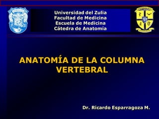 Universidad del Zulia
Facultad de Medicina
Escuela de Medicina
Cátedra de Anatomía
ANATOMÍA DE LA COLUMNA
VERTEBRAL
Dr. Ricardo Esparragoza M.
 
