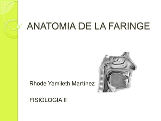 ANATOMIA DE LA FARINGE

Rhode Yamileth Martínez
FISIOLOGIA II

 