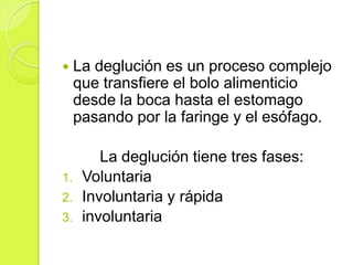 

1.
2.

3.

La deglución es un proceso complejo
que transfiere el bolo alimenticio
desde la boca hasta el estomago
pasando por la faringe y el esófago.

La deglución tiene tres fases:
Voluntaria
Involuntaria y rápida
involuntaria

 