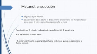 Mecanotransducción
 Segunda ley de Newton
 La aceleración de un objeto es directamente proporcional a la fuerza neta que
actúa sobre él e inversamente proporcional a su masa
Saculo utriculo  cristales carbonato de calcio(Otoconia)  Masa inerte
CSC Endolinfa  masa inerte
 Aceleración lineal o angular produce fuerza en la masa que va en oposición a la
fuerza aplicada
 