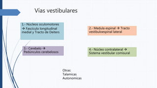 Vías vestibulares
1.- Núcleos oculomotores
 Fascículo longitudinal
medial y Tracto de Deiters
2.- Medula espinal  Tracto
vestibuloespinal lateral
3.- Cerebelo 
Pedúnculos cerebelosos
4.- Núcleo contralateral 
Sistema vestibular comisural
Otras:
Talamicas
Autonomicas
 
