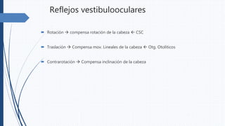 Reflejos vestibulooculares
 Rotación  compensa rotación de la cabeza  CSC
 Traslación  Compensa mov. Lineales de la cabeza  Otg. Otoliticos
 Contrarotación  Compensa inclinación de la cabeza
 