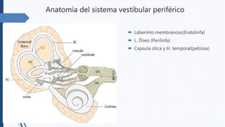 Anatomía del sistema vestibular periférico
 Laberinto membranoso(Endolinfa)
 L. Óseo (Perilinfa)
 Capsula otica y H. temporal(petrosa)
 