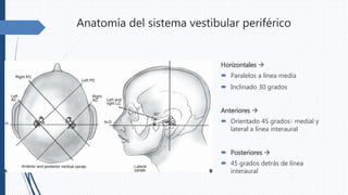 Anatomía del sistema vestibular periférico
Horizontales 
 Paralelos a línea media
 Inclinado 30 grados
Anteriores 
 Orientado 45 grados- medial y
lateral a línea interaural
 Posteriores 
 45 grados detrás de línea
interaural
 