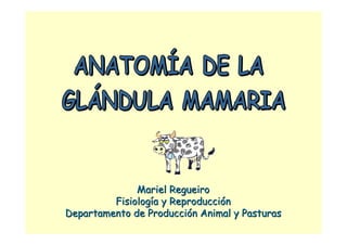 MarielMariel RegueiroRegueiro
FisiologFisiologíía y Reproduccia y Reproduccióónn
Departamento de ProducciDepartamento de Produccióón Animal y Pasturasn Animal y Pasturas
 