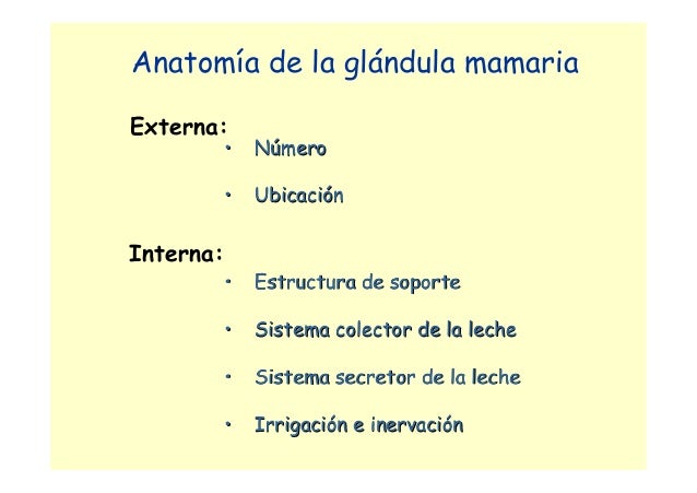numero plan q leche gland numero plan q leche gland