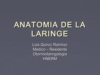 ANATOMIA DE LA
   LARINGE
   Luis Quiroz Ramirez
   Medico – Residente
   Otorrinolaringologia
         HNERM
 
