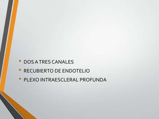 • DOSATRES CANALES
• RECUBIERTO DE ENDOTELIO
• PLEXO INTRAESCLERAL PROFUNDA
 