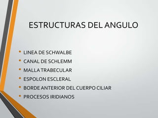 ESTRUCTURAS DEL ANGULO
• LINEA DE SCHWALBE
• CANAL DE SCHLEMM
• MALLATRABECULAR
• ESPOLON ESCLERAL
• BORDE ANTERIOR DEL CUERPO CILIAR
• PROCESOS IRIDIANOS
 