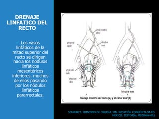 DRENAJE
LINFATICO DEL
RECTO
 Los vasos
linfáticos de la
mitad superior del
recto se dirigen
hacia los nódulos
linfáticos
mesentéricos
inferiores, muchos
de ellos pasando
por los nódulos
linfáticos
pararrectales.
SCHWARTZ. PRINCIPIO DE CIRUGÍA. MAL ROTACIÓN CONGÉNITA.9A ED.
MÉXICO: EDITORIAL MCGRAW-HILL
 