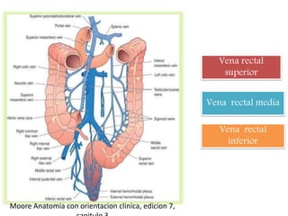 Vena rectal
superior
Vena rectal media
Vena rectal
inferior
Moore Anatomia con orientacion clinica, edicion 7,
 