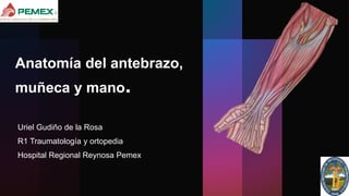 Anatomía del antebrazo,
muñeca y mano.
Uriel Gudiño de la Rosa
R1 Traumatología y ortopedia
Hospital Regional Reynosa Pemex
 
