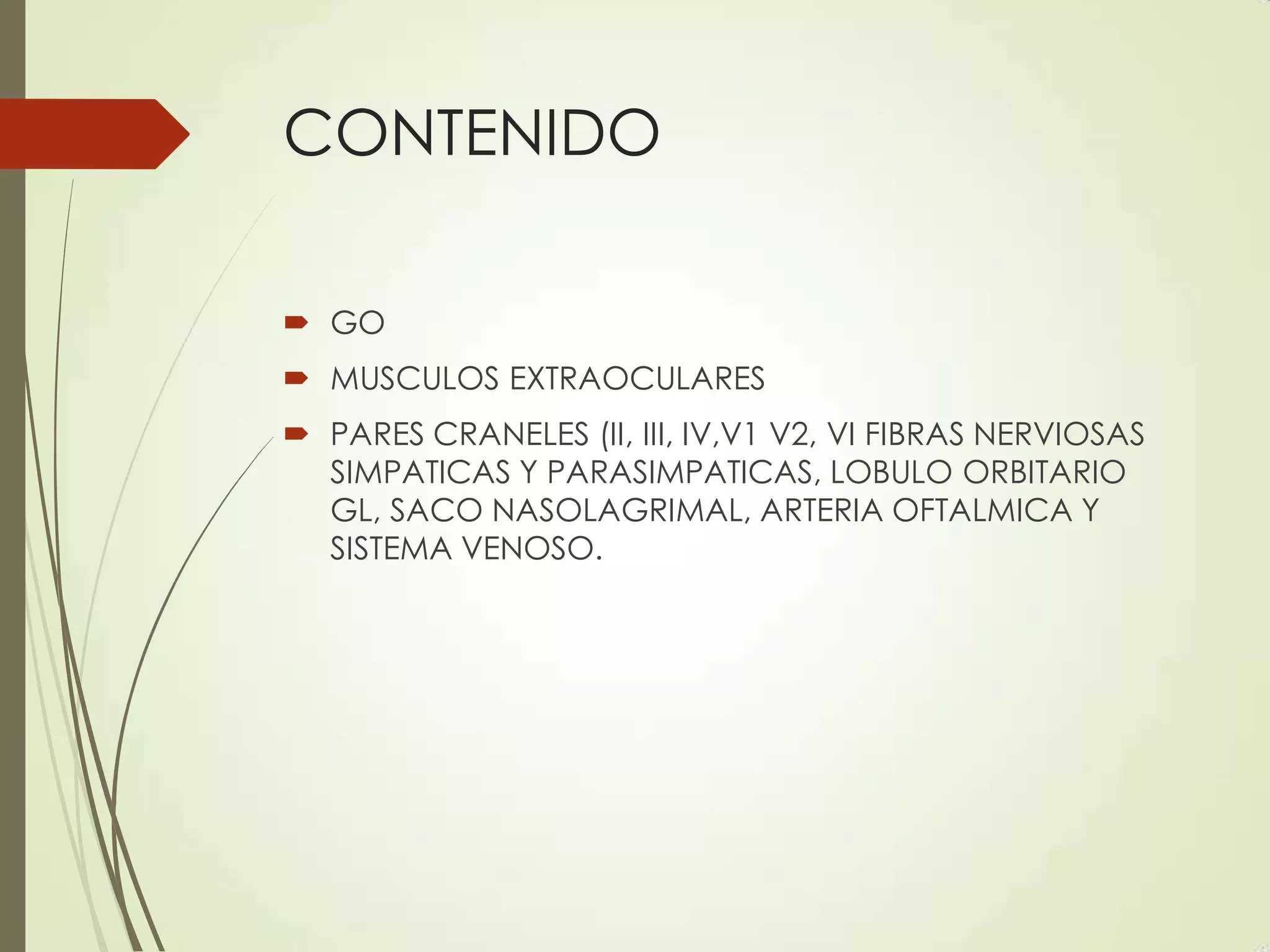 Anatomia de la orbita | PPTX