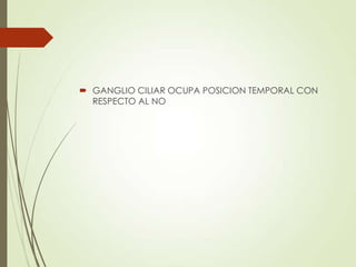  GANGLIO CILIAR OCUPA POSICION TEMPORAL CON
RESPECTO AL NO
 